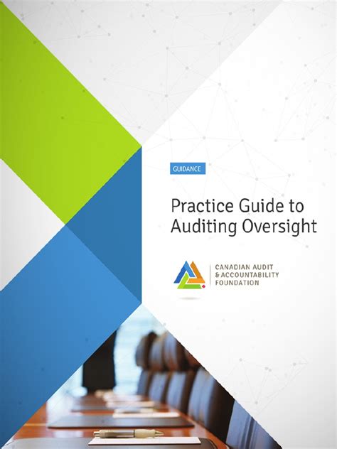 Audit Guide 的图像结果