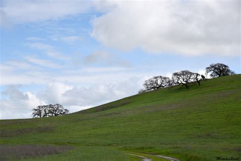 Mamma Quail Hiking California : Between Seasons at the Sycamore Grove Park