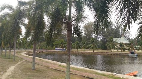 Muzium Wau (Tumpat) - 2021 What to Know Before You Go (with Photos ...