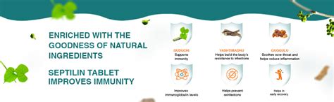 Buy Himalaya Septilin Tablets - 60 Tablets Online at Low Prices in ...