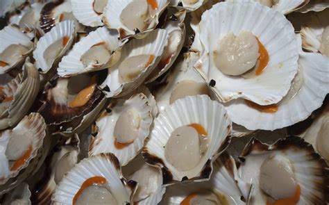 What's the Difference Between Bay and Sea Scallops?