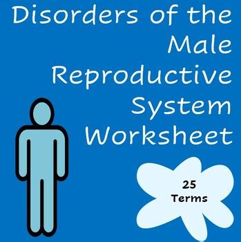 Male Reproductive System Disorders 的图像结果
