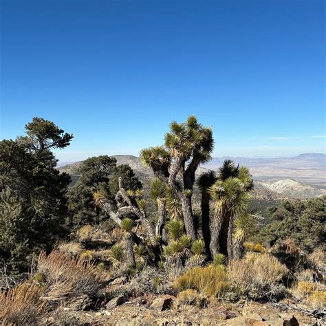 BALDWIN LAKE STABLES (2026) All You Need to Know BEFORE You Go (with ...