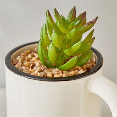 Buy Gloria Palm Artificial Succulent in Ceramic Mug from Home Centre at ...