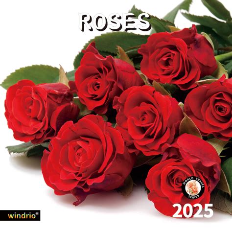 Buy 2024 2025 Wall , 2025, November 2024 - December 2025, Wall Roses ...