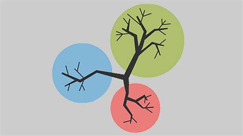 Image result for Classification System Biology Definition