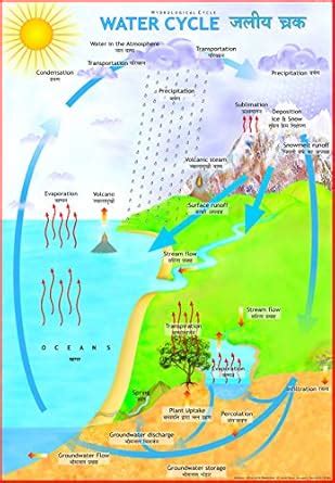 Buy Water Cycle Chart Book Online at Low Prices in India | Water Cycle ...