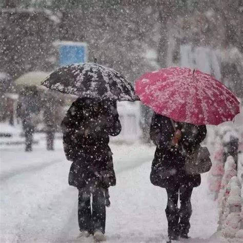 大规模雨雪即将上线！波及20余省区市→_虎年以来最大规模雨雪即将上线_天气_地区