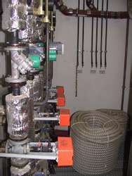 ZooLex Exhibit - Giraffes