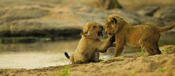 Magical 15 Days Arusha to Ngorongoro Conservation Area Luxury Holiday ...