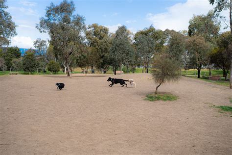 Gilpin Park Fenced Dog Park and Off-Leash Area in Brunswick