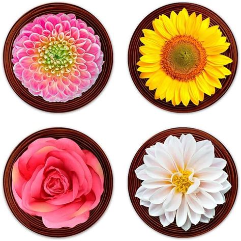 Brizberry® Brizcoast Premium Designer Round Flowers Printed Beautiful ...