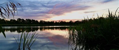 Download wallpaper 2560x1080 reeds, lake, twilight, landscape, nature ...