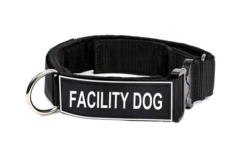 Buy Dean & Tyler 21 to 26-Inch Strong Nylon Cobra Patch Collar with ...