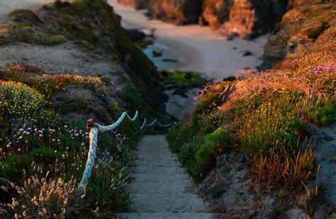 How to Use Regex Extract in BigQuery 的图像结果