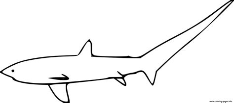 Shark Evolution Script 的图像结果