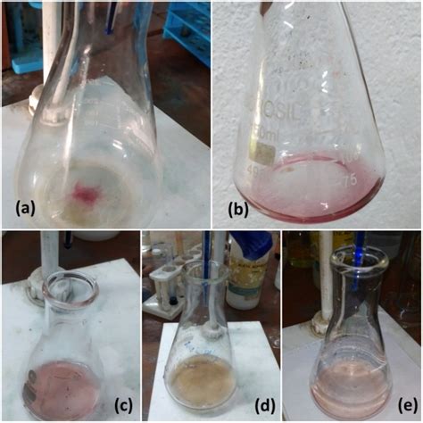 Effect on bacterial growth pattern