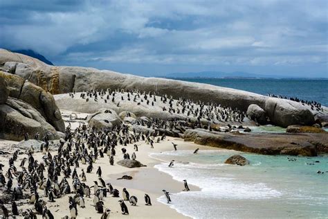 South Africa Discovery Tour 9 Nights 10 Days Holiday Tour Package ...