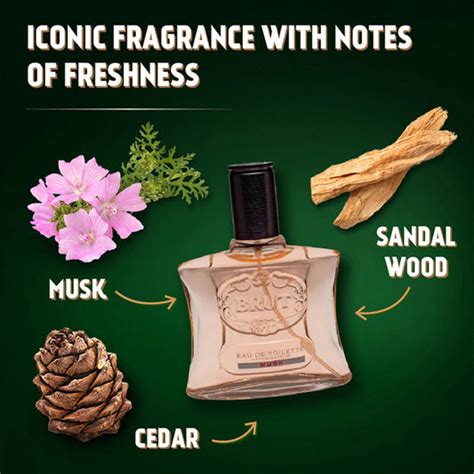 Perfumes – Perfumes by Janta Shoppe