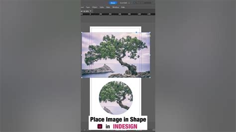 Image result for Shape Fill InDesign