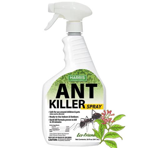 Best Ant Killer
