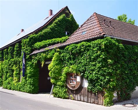 THE 30 BEST Places to Visit in Ingelheim (2026) - Must-See Attractions