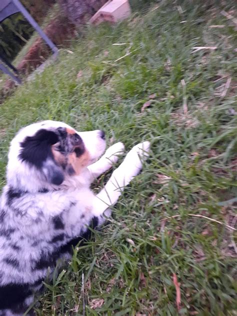 Lexi (@miss_lexi_hart) • Instagram photos and videos