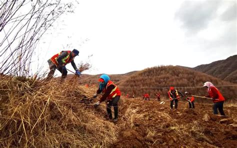 在秦岭山区，现在鼓励农民开荒种粮，为什么农民不愿意种地？ - 哔哩哔哩