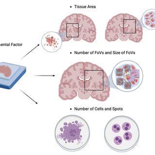 Image result for SST HST Science Review