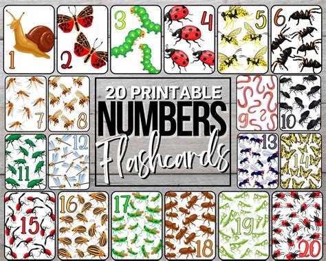 Buy Number Flash Cards, Montessori Printable Flashcards, Homeschooling ...