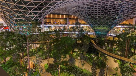 Hamad International Airport Becomes an Orchard