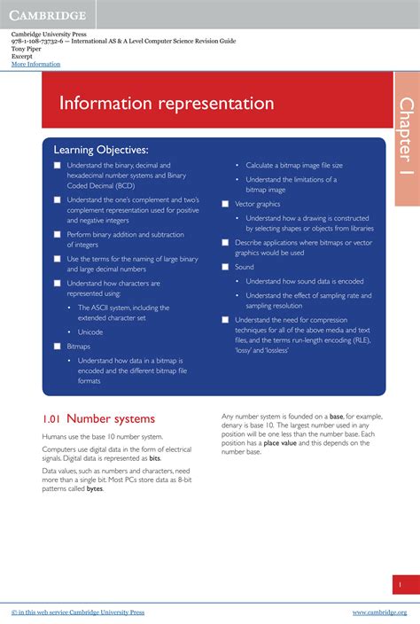Image result for Information Representation Computer Science