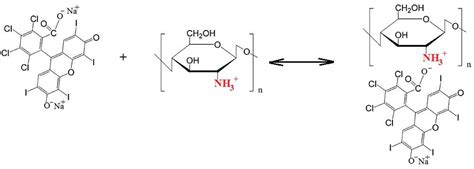 Effect of Chitosan and Amphiphilic Polymers on the Photosensitizing and ...