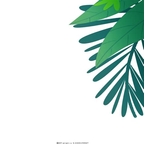 芭蕉叶卡通图片芭蕉叶图片素材2022已更新今日更新