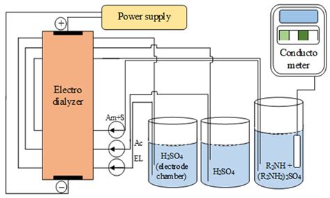 Investigation of Transport Processes through Ion-Exchange Membranes ...