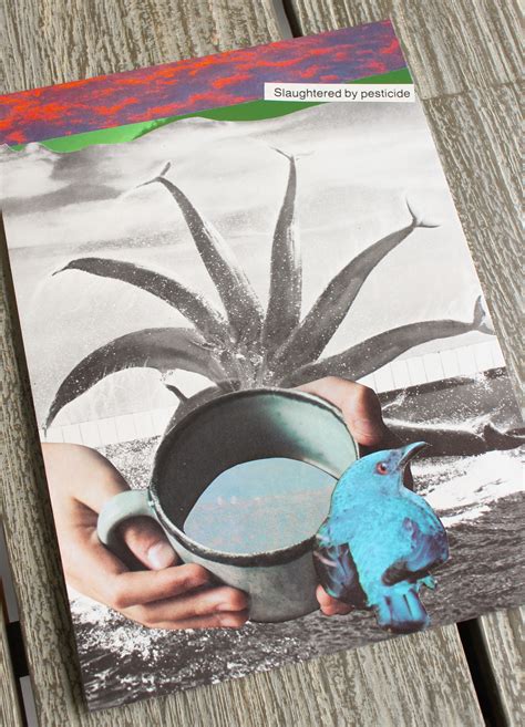 Examples of Collage 的图像结果