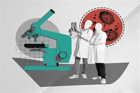 Mph Degree Programs 的图像结果