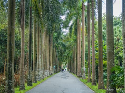 华南国家植物园揭牌成立 -中国旅游新闻网
