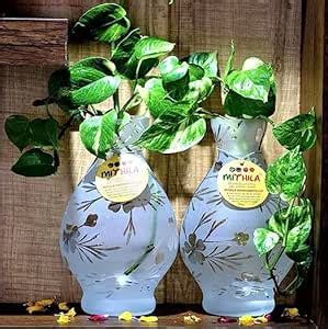 Mithila Handicrafts Glass Vases Flower Pots (Set of 2) for Flowers ...