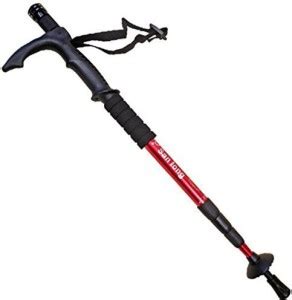 Trekking Poles (ट्रैकिंग पोल्स): Buy Trekking Poles Online in India ...