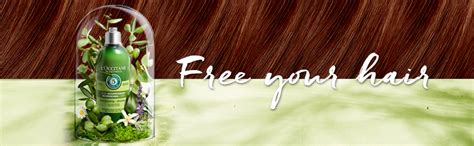 L'Occitane Dry Hair Nourishing Infused Oil 100ml : Amazon.in: Beauty