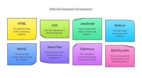 Image result for HTML CSS JavaScript Human Body Analogy