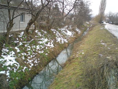 Czabai-kert, erd, Hungary - Top Attractions, Things to Do & Activities ...