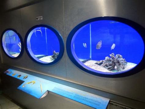 THE 10 CLOSEST Hotels to Labuan Marine Museum, Labuan Island