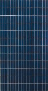 Buy Solar Module Q-Cells Q.PLUS L-G4.2 345 | pvXchange.com