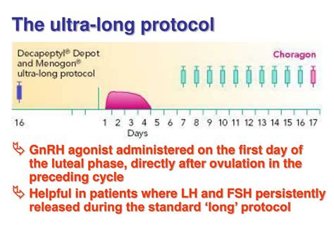 BitTorrent Protocol Format 的图像结果