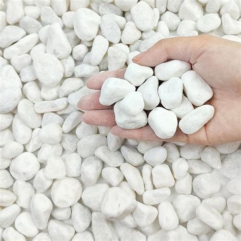 Amazon.com : FANTIAN 10 lbs White River Rocks for Garden, 0.5-1 Inch ...