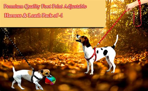 Woofy Pet Combo Puppy Paw Print Harness Leash Set for Small Dog and ...