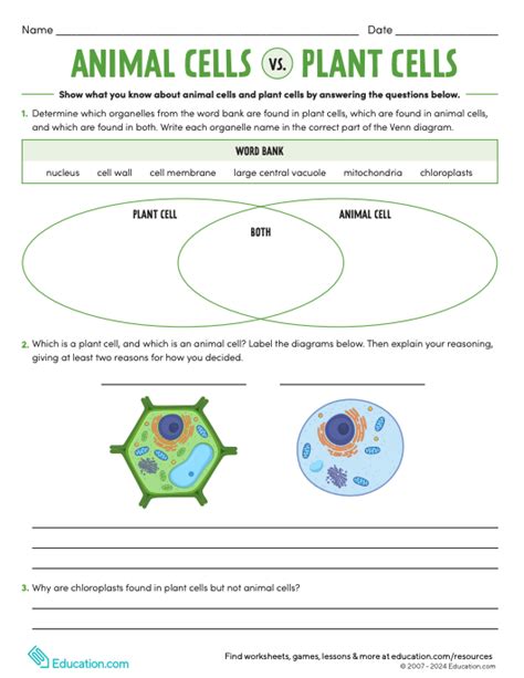 Science Worksheets 的图像结果