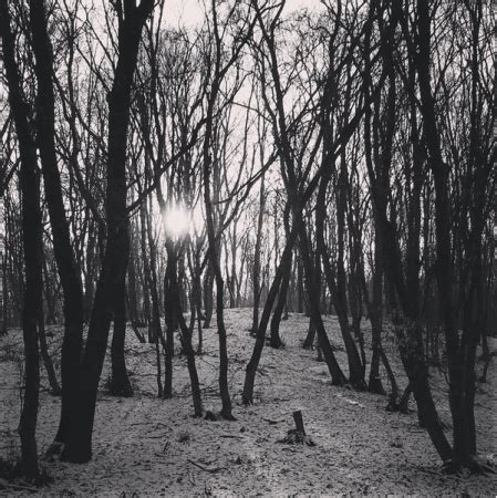 From Australia's Pink Lake to China's Red Beach: Top 5 weird places ...